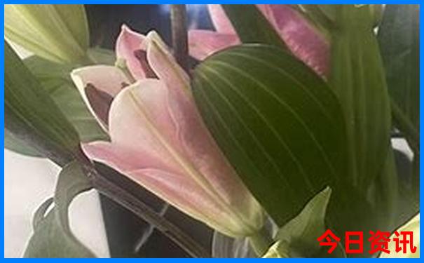 八月云南自驾游7天攻略