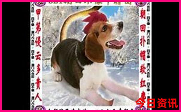 哈尔滨最值得带孩子去的地方